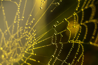 Similar image 21190221