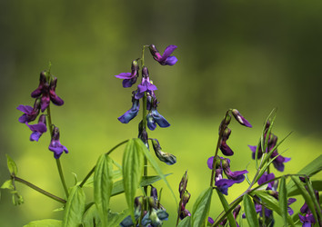 Similar image 21190222