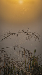 Similar image 21190223