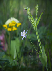 Similar image 21190193