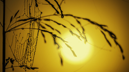 Similar image 21190194