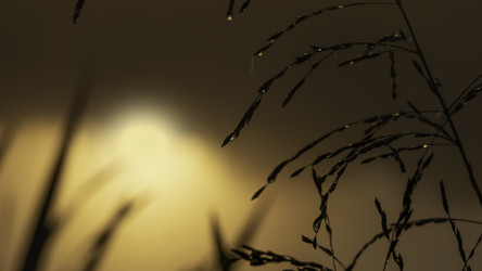 Similar image 21190195