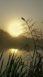 Similar image 21190196