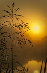 Similar image 21190197