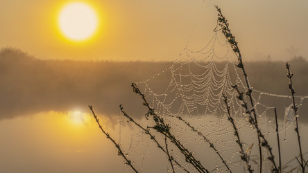 Similar image 21190198