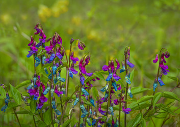 Similar image 21190202