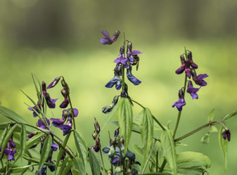 Similar image 21190203