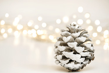 Similar image 21190666