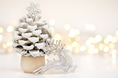 Similar image 21190673