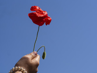 Similar image 21195207