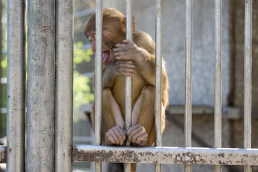 Similar image 21191135