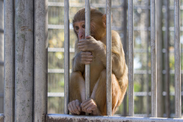 Similar image 21191136