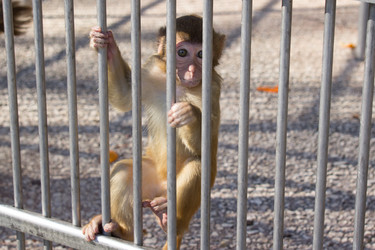 Similar image 21191137