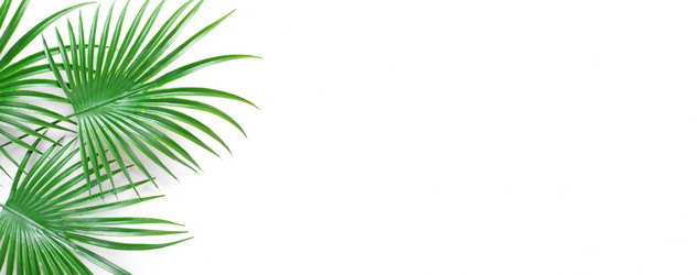 Similar image 21191483