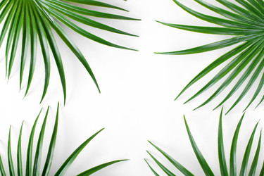 Similar image 21189975