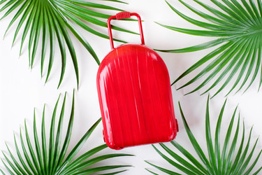 Similar image 21189977