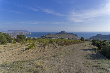 Similar image 21190420