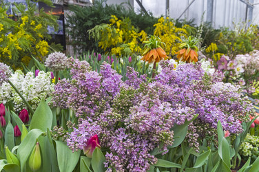 Similar image 21190422