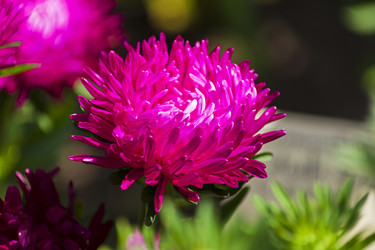 Similar image 21190426