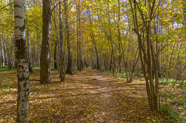 Similar image 21190427