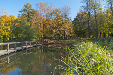 Similar image 21190428