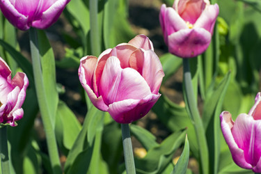 Similar image 21190430