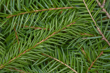 Similar image 21194676