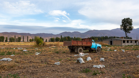 Similar image 21190434