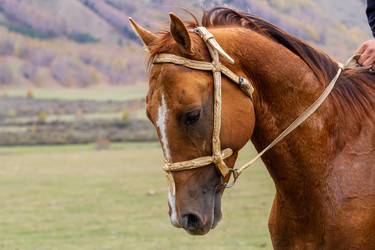 Similar image 21190456