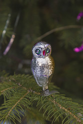 Similar image 21194226