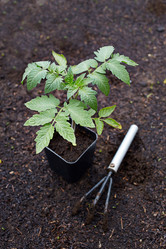 Similar image 21191142