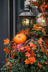 Similar image 21199615