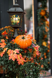 Similar image 21199616