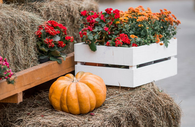 Similar image 21199617