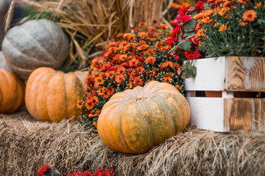 Similar image 21199618