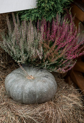 Similar image 21199619