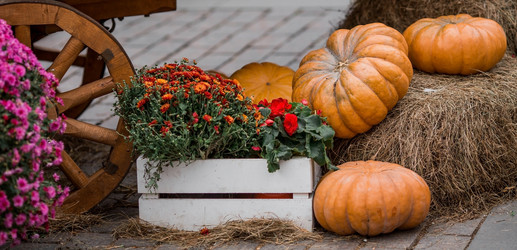 Similar image 21199622