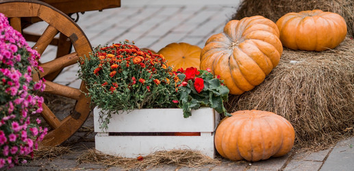 Similar image 21199623