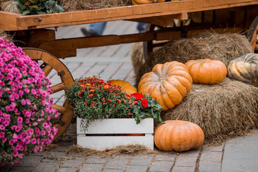 Similar image 21199625