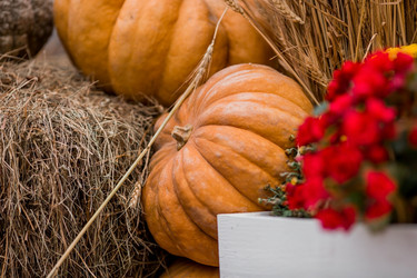 Similar image 21199626