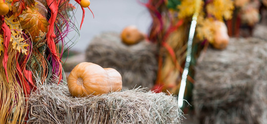 Similar image 21199628