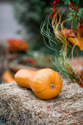 Similar image 21199629