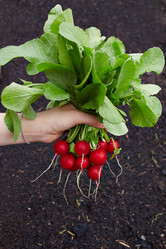 Similar image 21191145