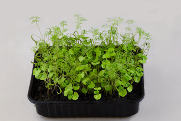 Similar image 21192031