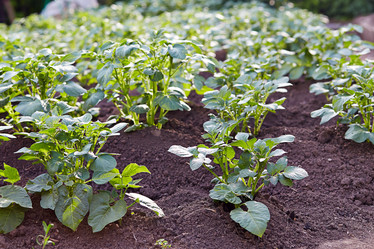 Similar image 21191147