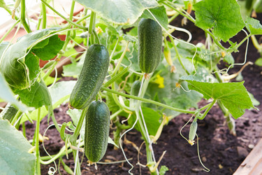 Similar image 21191156