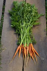 Similar image 21191157