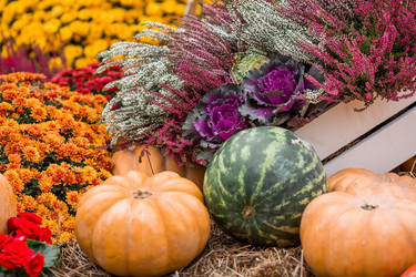 Similar image 21199633