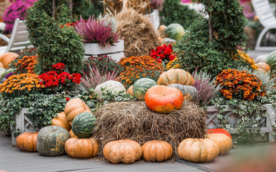 Similar image 21199634