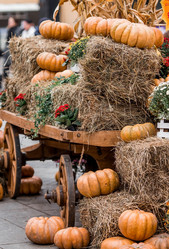 Similar image 21199636